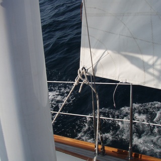 Voilerie, voile de tradition (14)